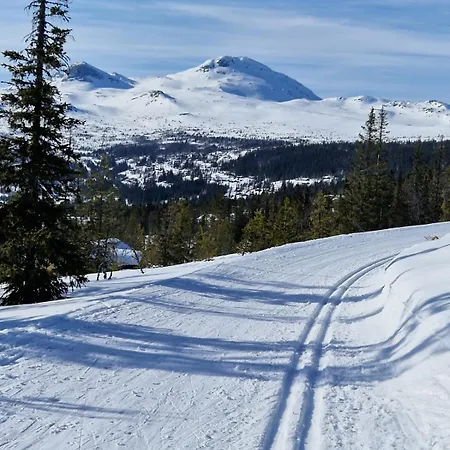 Hébergement de vacances Nordic View 900m - Close To Gaustatoppen *